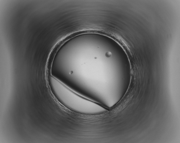 X0000116421072200912150953
