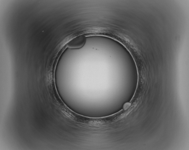X0000116421073200912150953