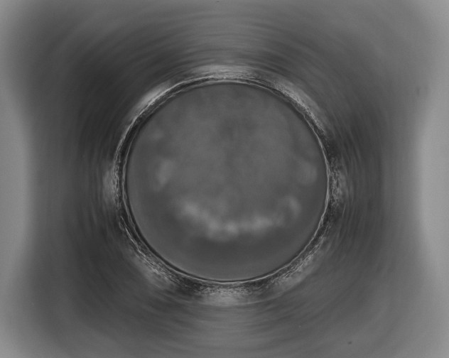 X0000116421074200912150953