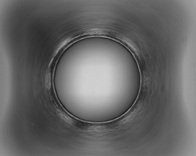 X0000116421075200912150953