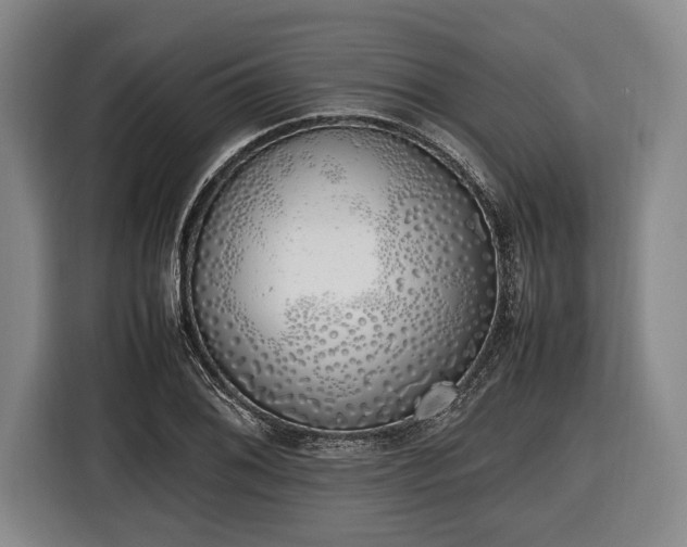 X0000116421076200912150953