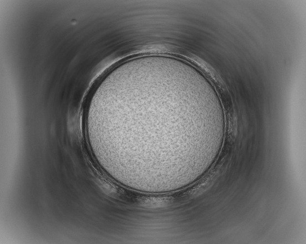 X0000116421078200912150953