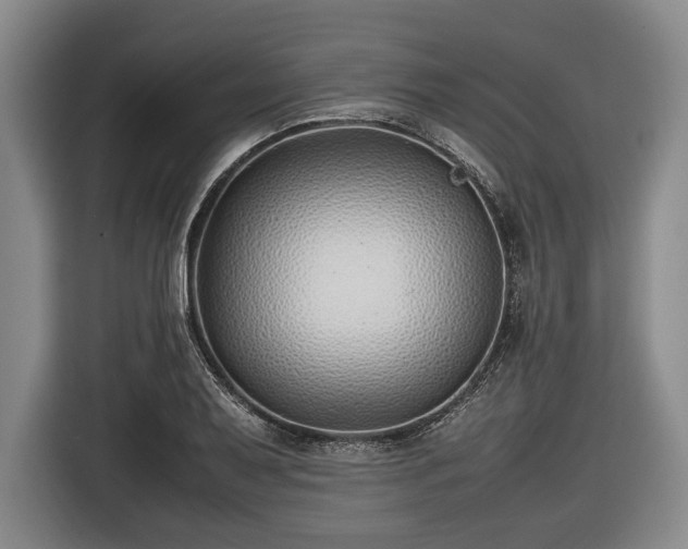 X0000116421079200912150953