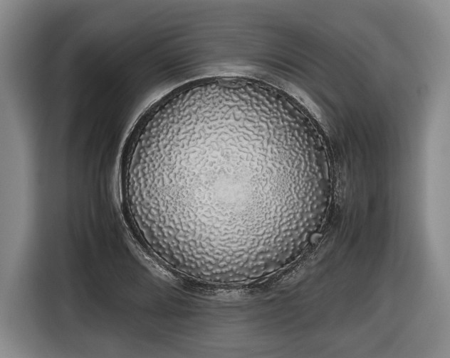 X0000116421080200912150953