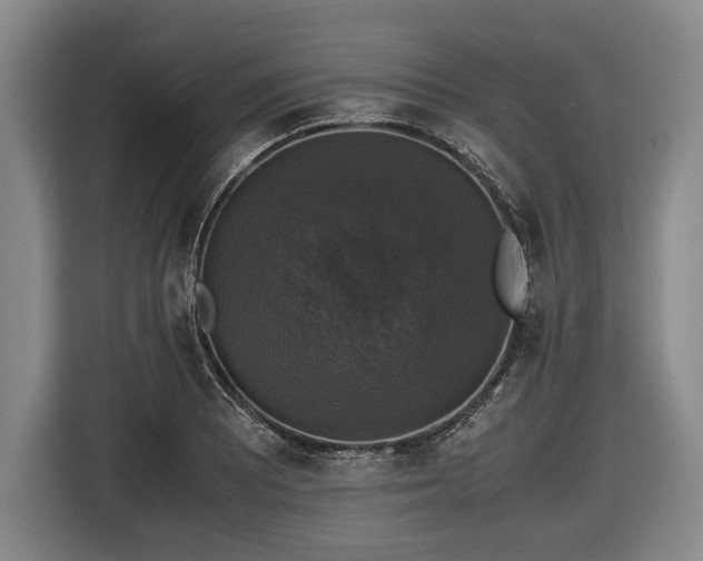 X0000116421081200912150953