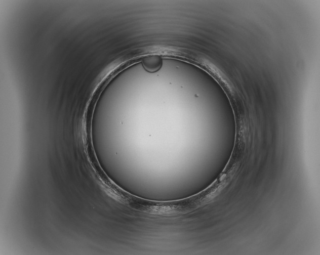 X0000116421082200912150953