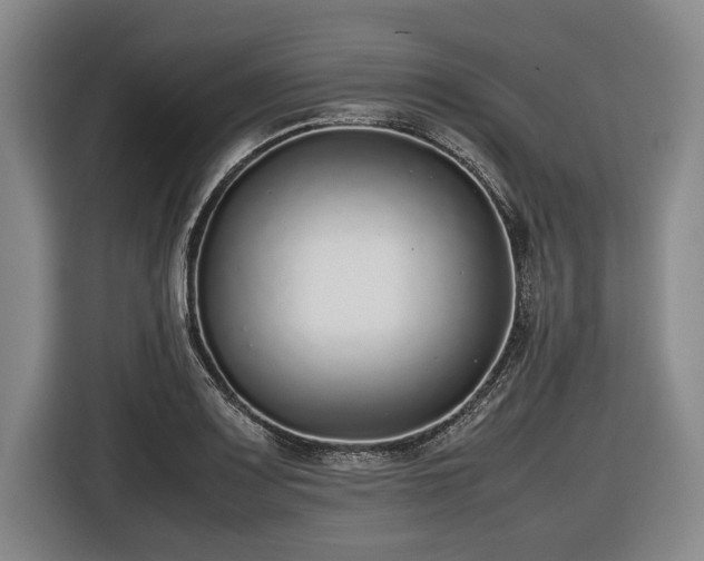 X0000116421083200912150953