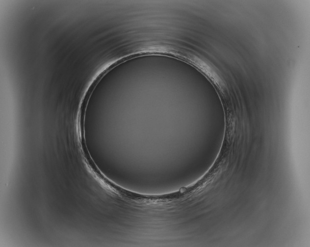 X0000116421084200912150953