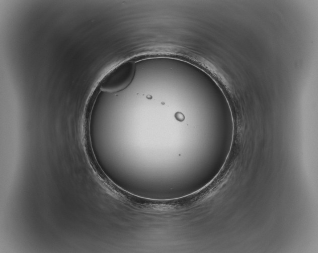 X0000116421085200912150953