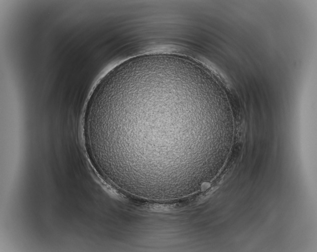 X0000116421086200912150953