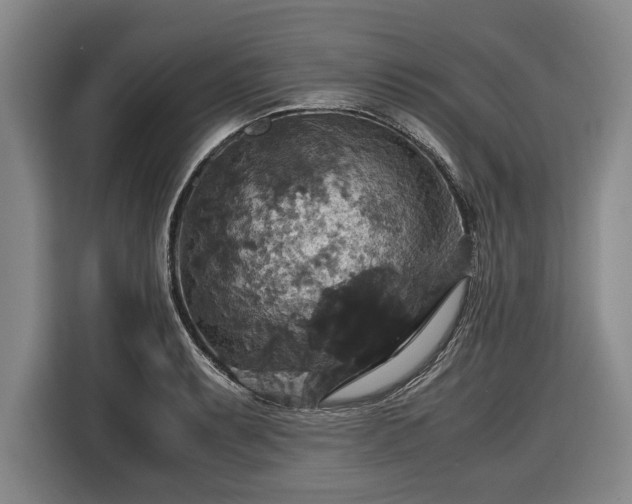 X0000116421087200912150953