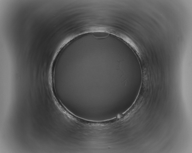 X0000116421088200912150953