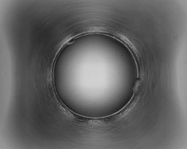 X0000116421089200912150953