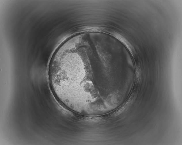 X0000116421090200912150953