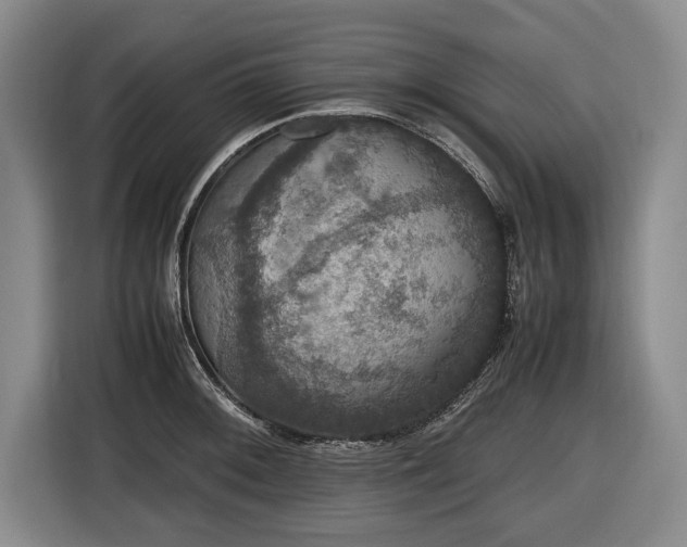 X0000116421092200912150953