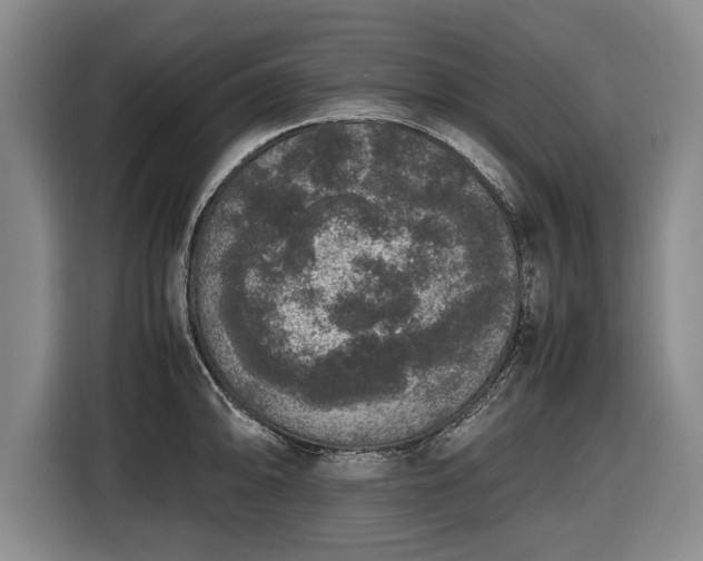 X0000116421094200912150953