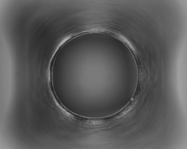 X0000116421095200912150953