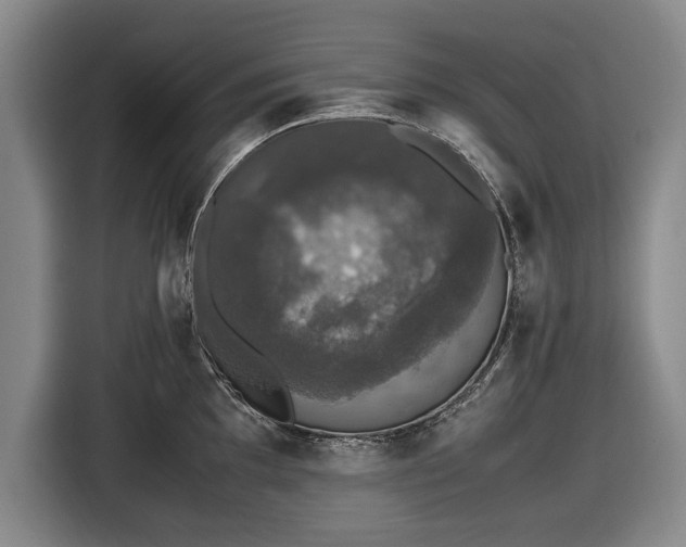 X0000116421097200912150953