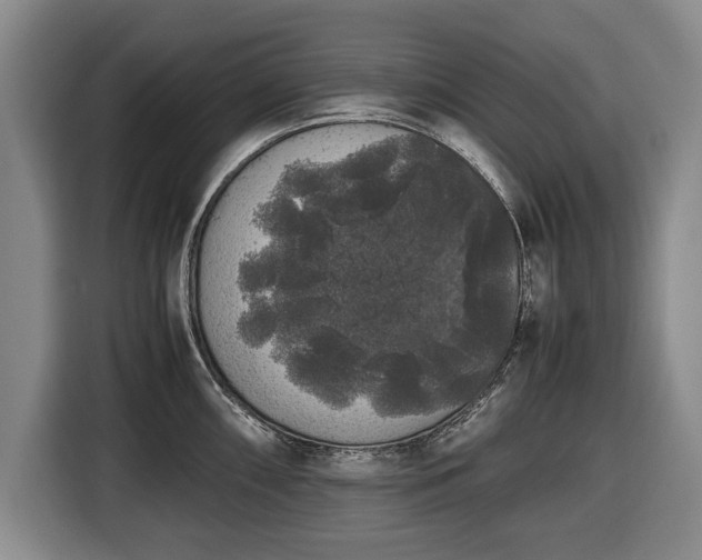 X0000116421098200912150953