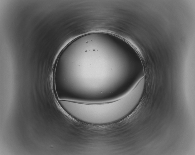 X0000116421100200912150953