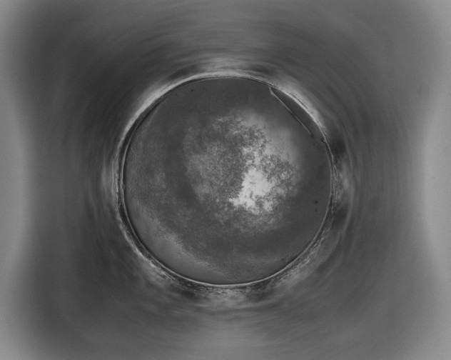 X0000116421101200912150953