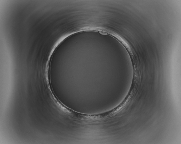 X0000116421102200912150953