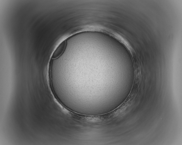X0000116421103200912150953