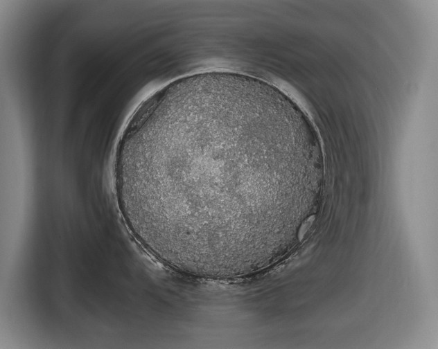 X0000116421104200912150953
