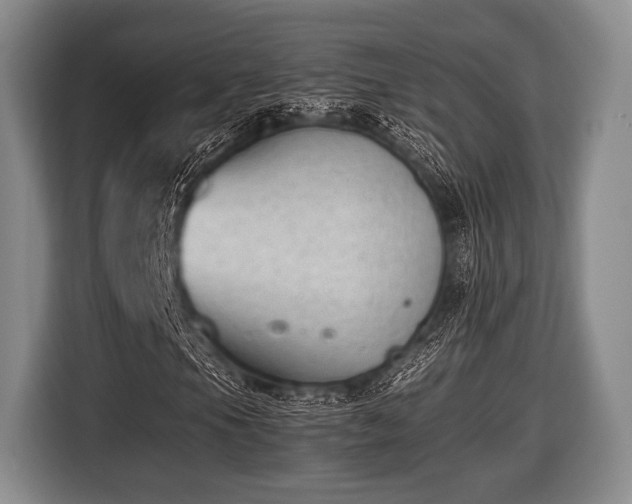 X0000116421105200912150952