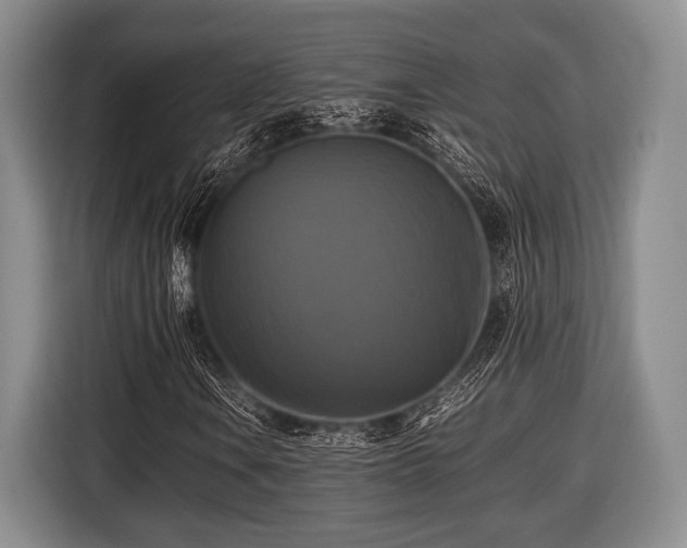 X0000116421106200912150952