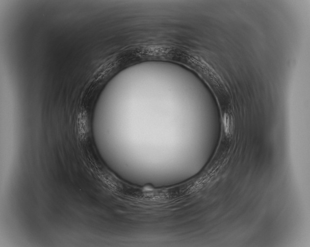 X0000116421107200912150952