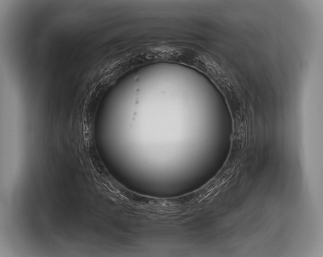 X0000116421109200912150952