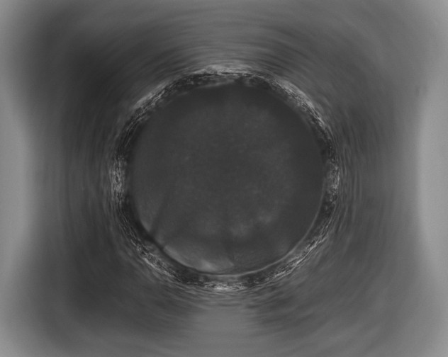X0000116421110200912150952
