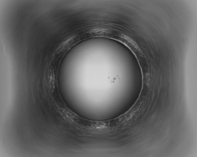 X0000116421111200912150952