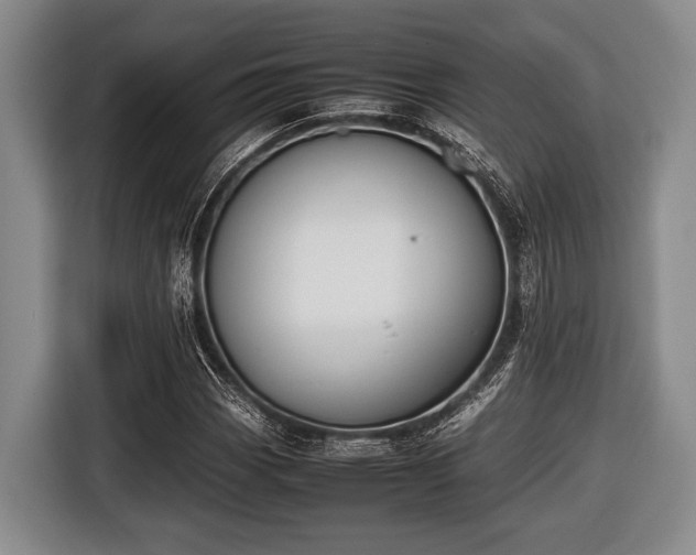 X0000116421113200912150952