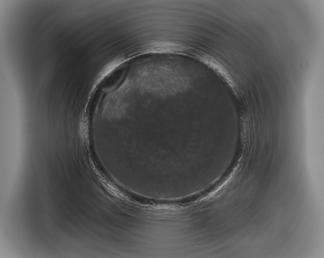 X0000116421114200912150953