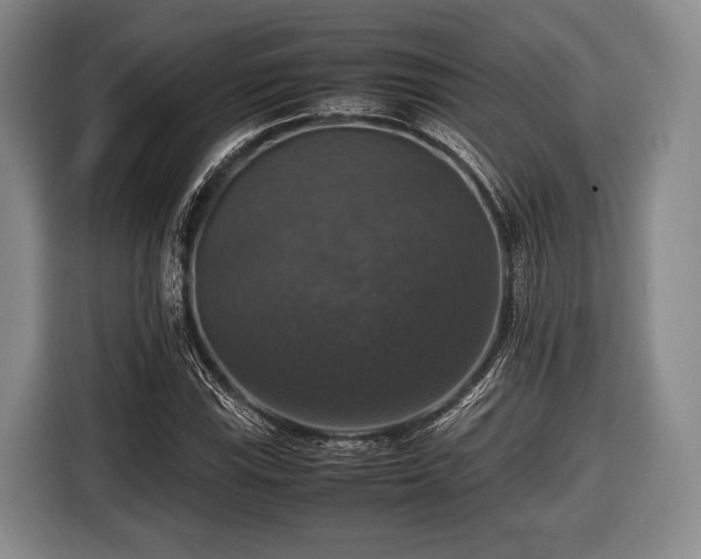 X0000116421115200912150953