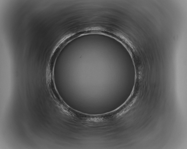 X0000116421117200912150953