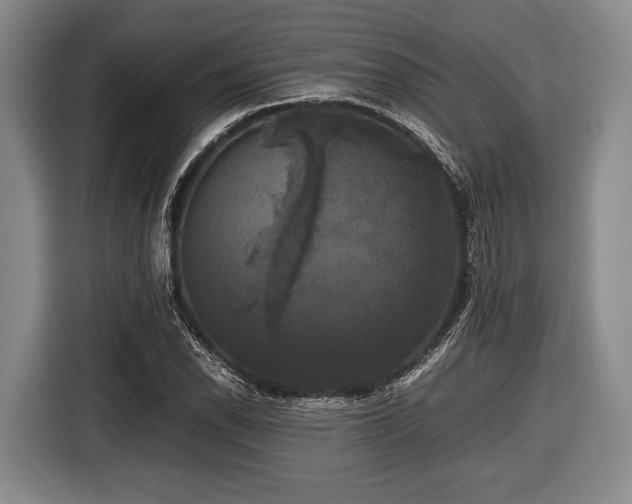 X0000116421118200912150953
