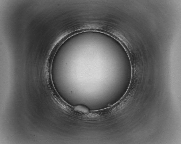 X0000116421119200912150953