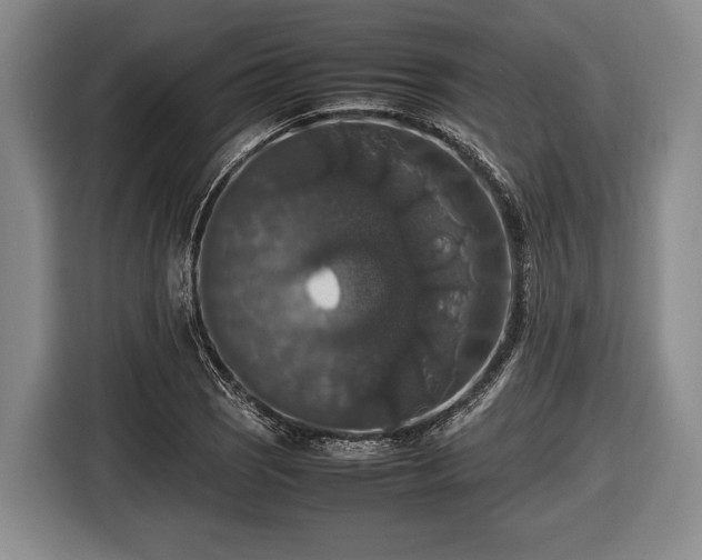 X0000116421121200912150953