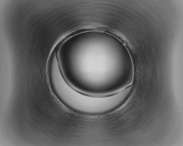 X0000116421122200912150953