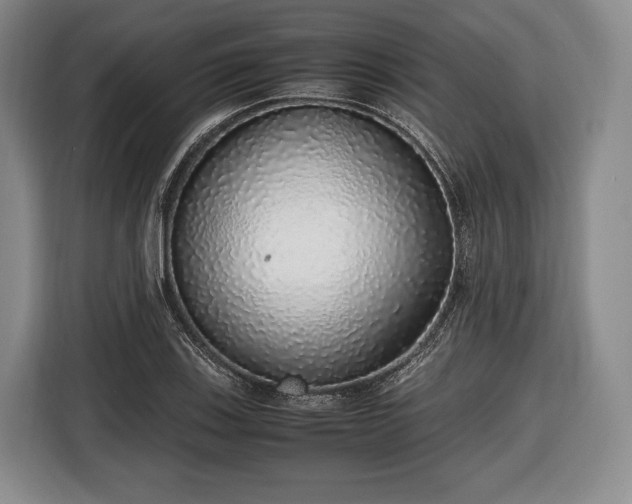 X0000116421123200912150953
