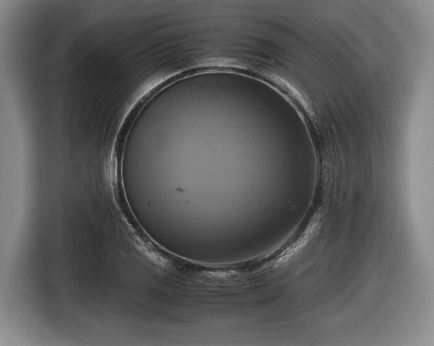 X0000116421125200912150953