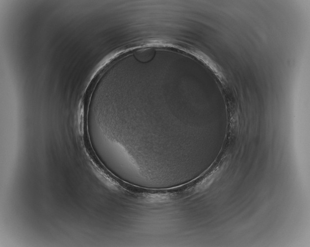 X0000116421126200912150953