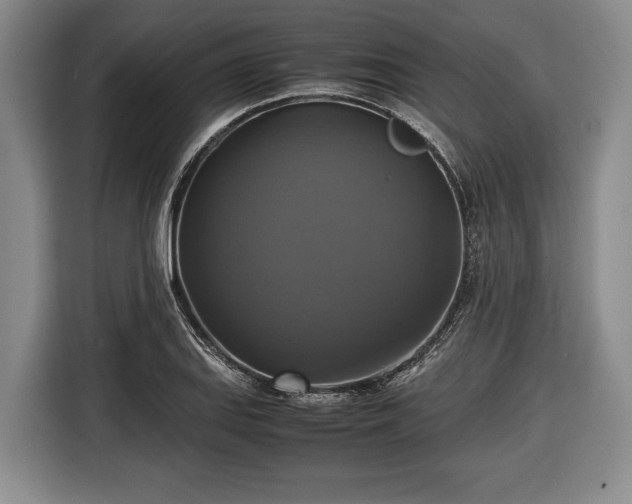 X0000116421127200912150953
