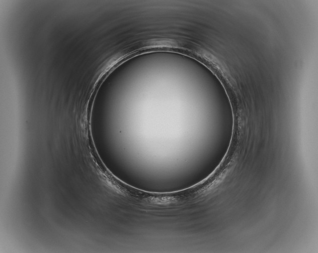 X0000116421129200912150953