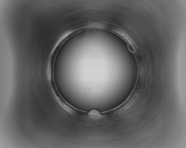 X0000116421131200912150953