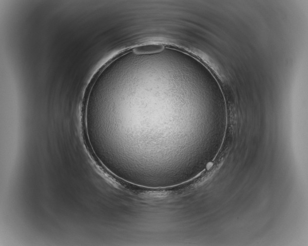 X0000116421134200912150953