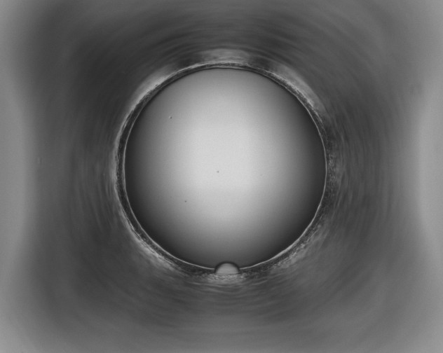 X0000116421135200912150953